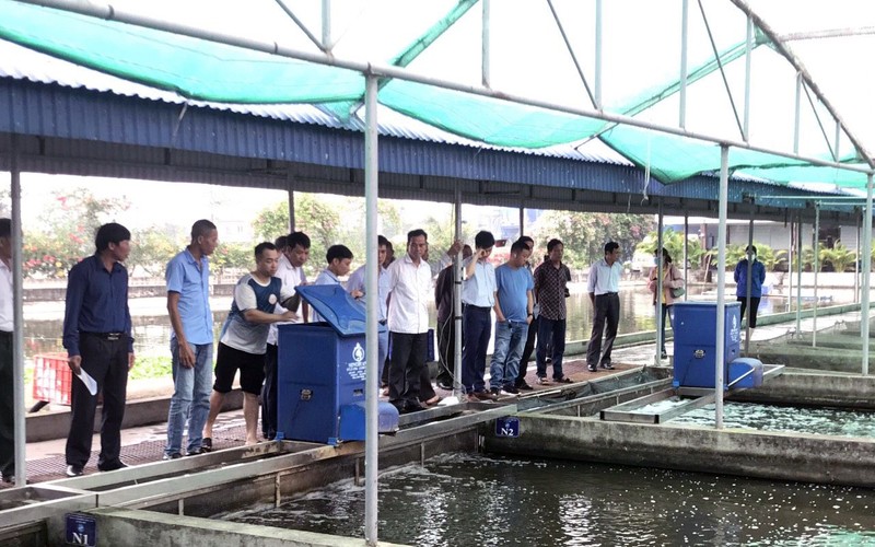 Lào Cai: Tăng cường phòng, chống ô nhiễm nguồn nước nuôi thủy sản